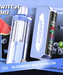 Blueberry Watermelon Foger Switch Pro Kit 30K Puffs