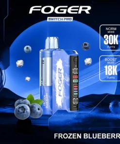 Frozen Blueberry Foger Switch Pro Kit 30K Puffs