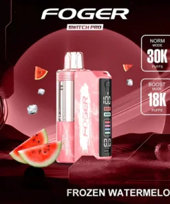 Frozen Watermelon Foger Switch Pro Kit 30K Puffs