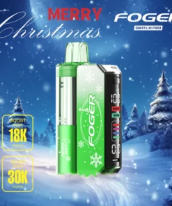 Peppermint Foger Switch Pro Kit 30K Puffs