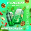 WinterGreen Foger Bit 35K Puffs