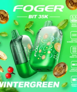WinterGreen Foger Bit 35K Puffs